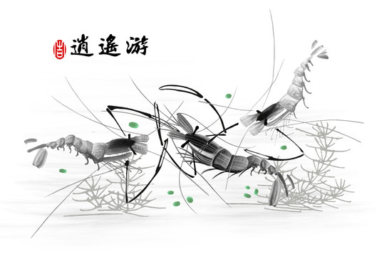 手繪蝦