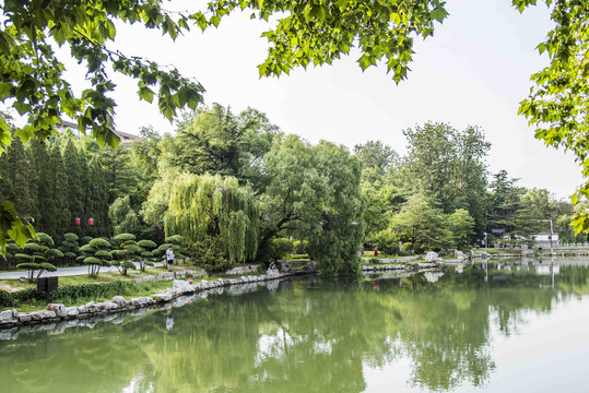 山东青州范公亭公园夏意浓