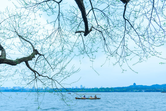 杭州西湖春景