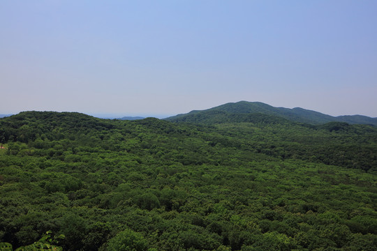 远山森林蓝天