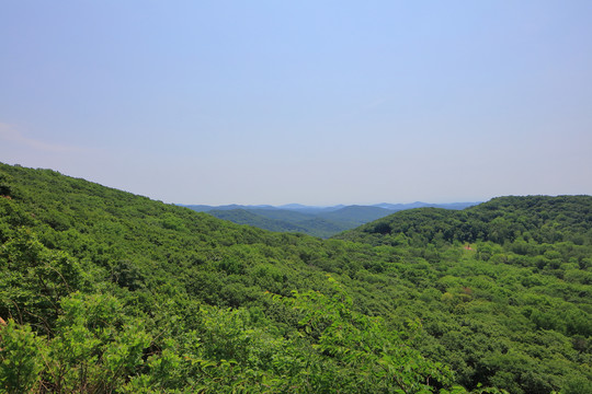 远山森林蓝天