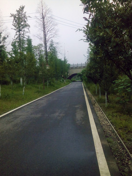 公园道路风景