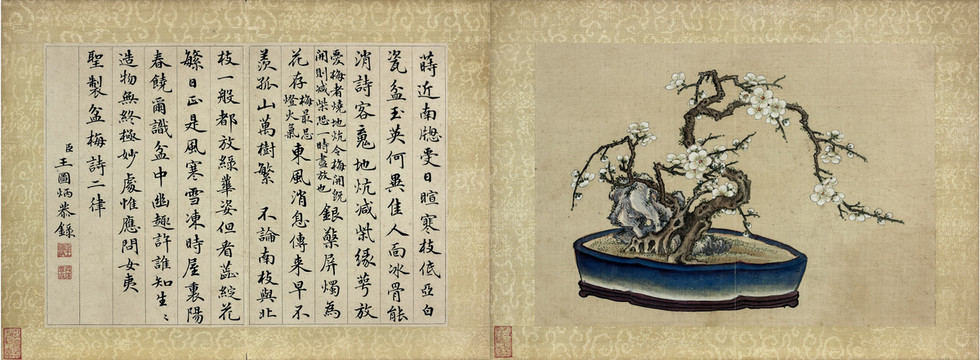 王圖炳盆梅圖