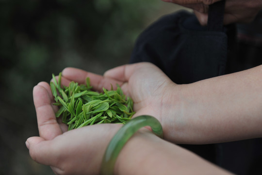 双手捧茶