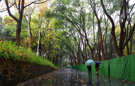 春雨绵绵