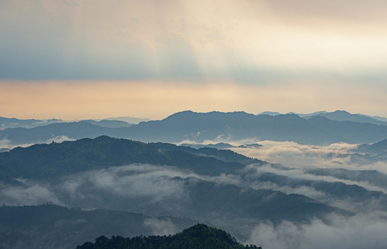 高山云雾