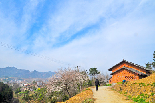 龙坝风光CQ