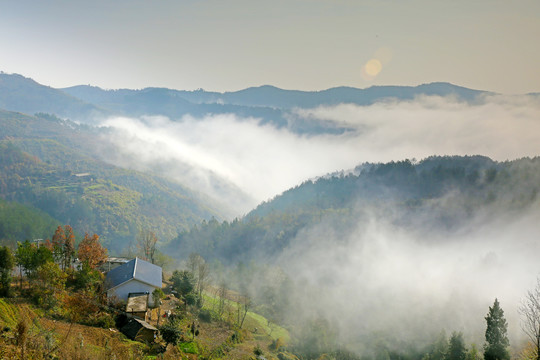 龙坝云雾B