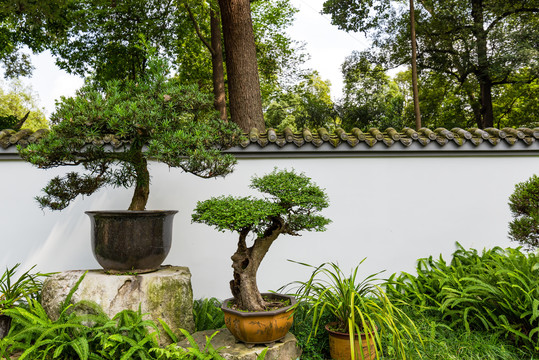 成都杜甫草堂盆景园