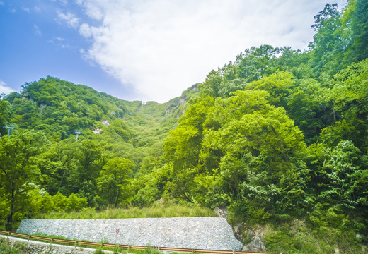 牛背梁山顶