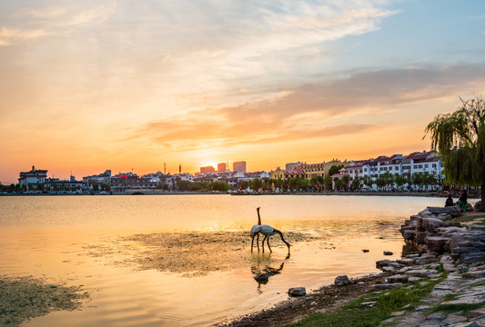 东昌湖风光