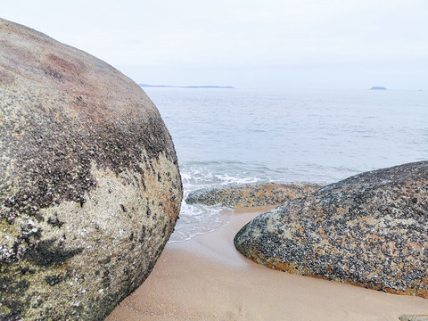 海边退潮岩石