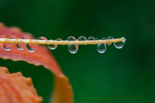 水珠