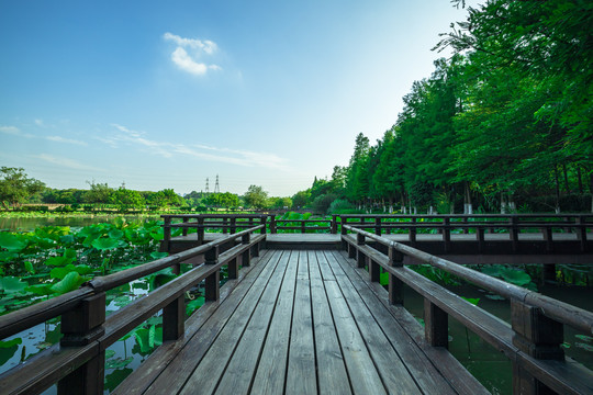 杭州西湖步行栈道