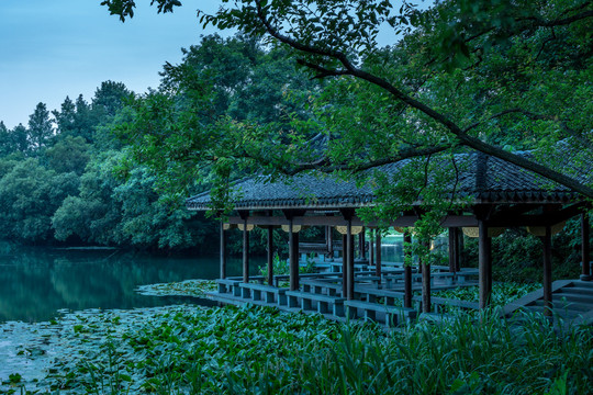 杭州西湖浴鹄湾