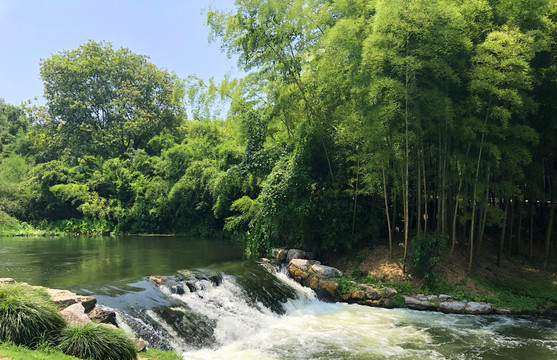 溪水竹林