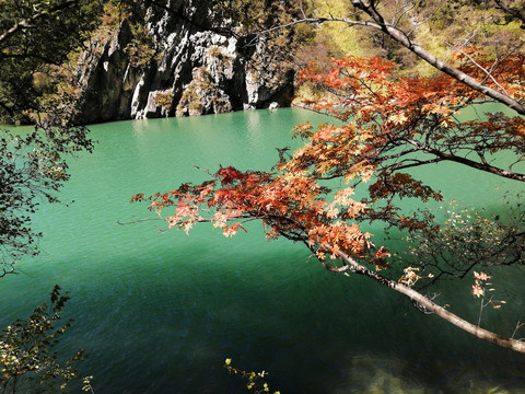 风景