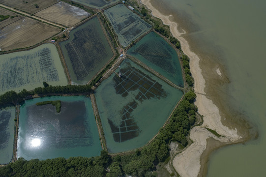 洪泽湖西岸风光风情