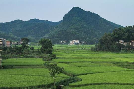 田园风光