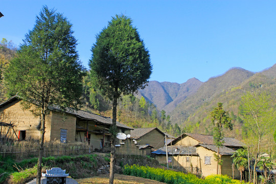 龙坝新华村BT