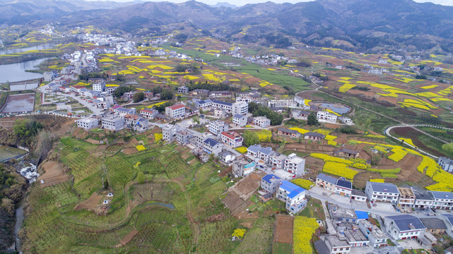 龙湖湿地航拍B