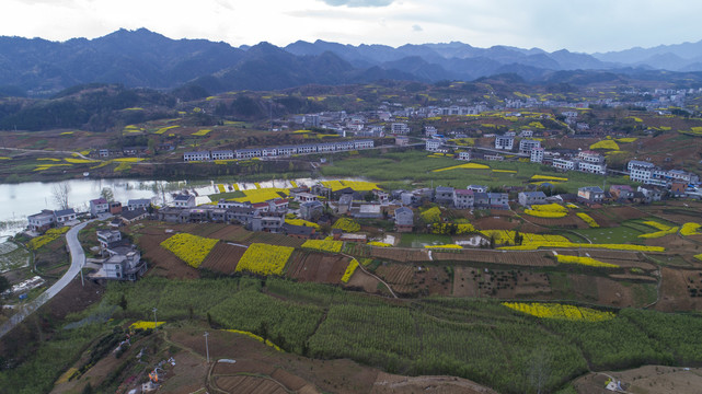 龙湖湿地航拍O