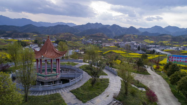 龙湖湿地航拍S