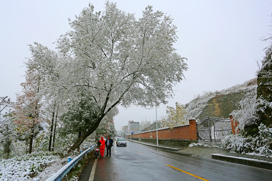 龙坝雪景H