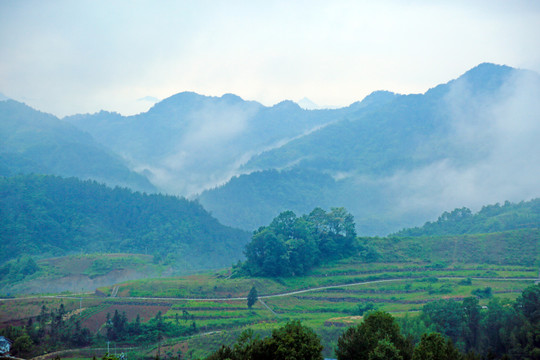 龙坝云雾BA