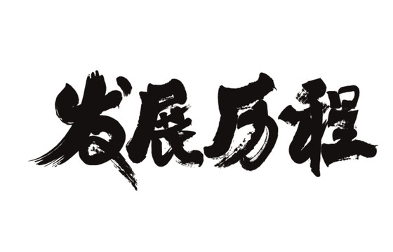 發(fā)展歷程