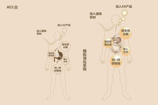 消化系统模拟图