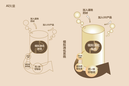 消化系統(tǒng)
