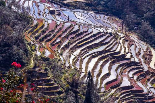 元阳梯田