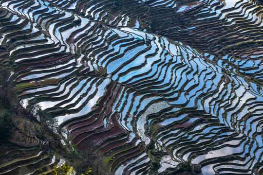 元阳梯田