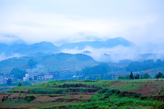 龙坝云雾H