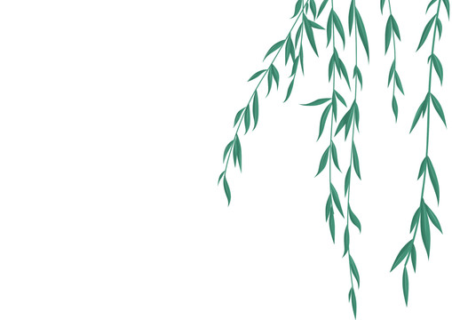 綠色小清新柳條裝飾