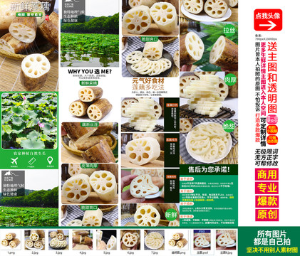 蓮藕詳情頁主圖