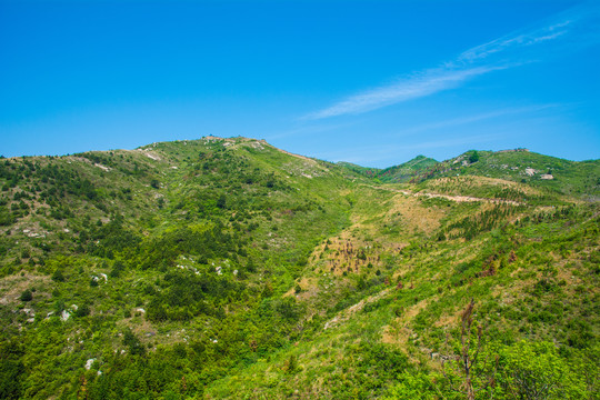 大山风景