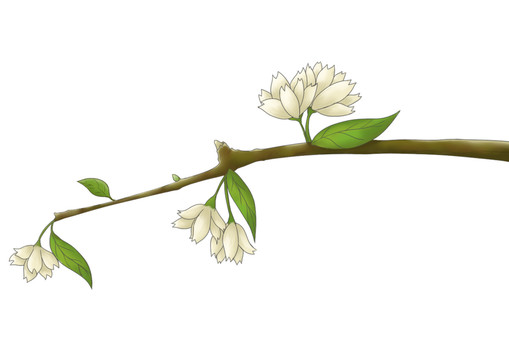 小清新橫版淡黃色小花花枝