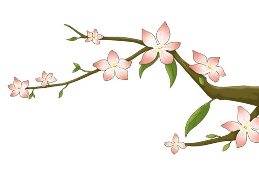 小清新粉紅色桃花花枝
