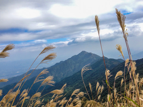 大南山风光