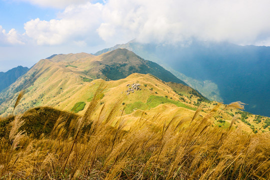 惠州大南山风光