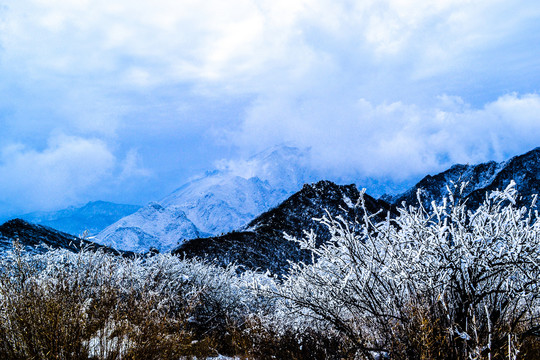 雪景壁纸