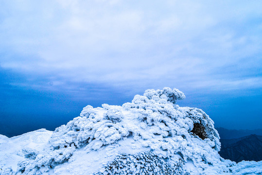 雪景壁纸