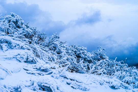 雪景壁纸