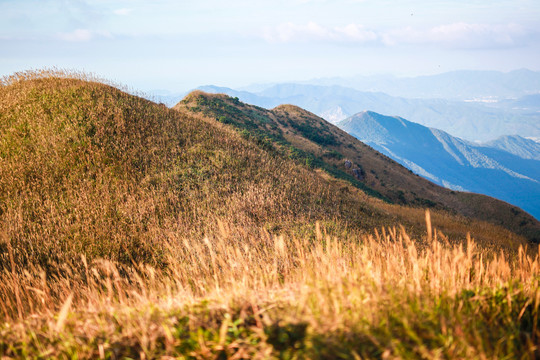 惠州大南山秋景