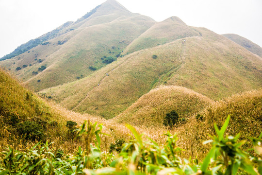 惠州大南山