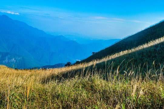 大南山