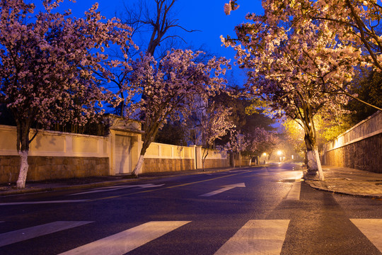 夜晚安静的街道