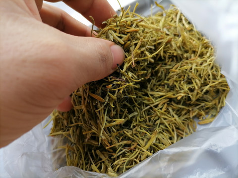 金银花茶